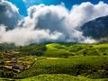 Munnar in December and January: Cold Mornings, Crowds and How to Book Ahead