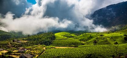 Munnar in December and January: Cold Mornings, Crowds and How to Book Ahead