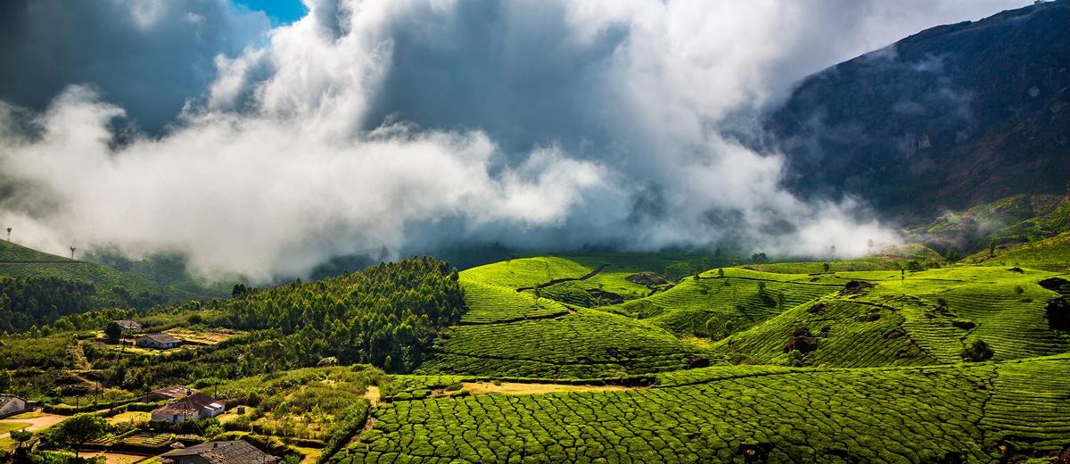 Munnar in December and January: Cold Mornings, Crowds and How to Book Ahead