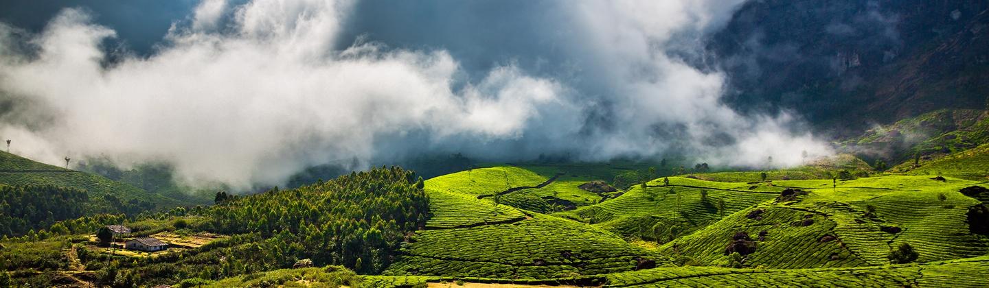 Munnar