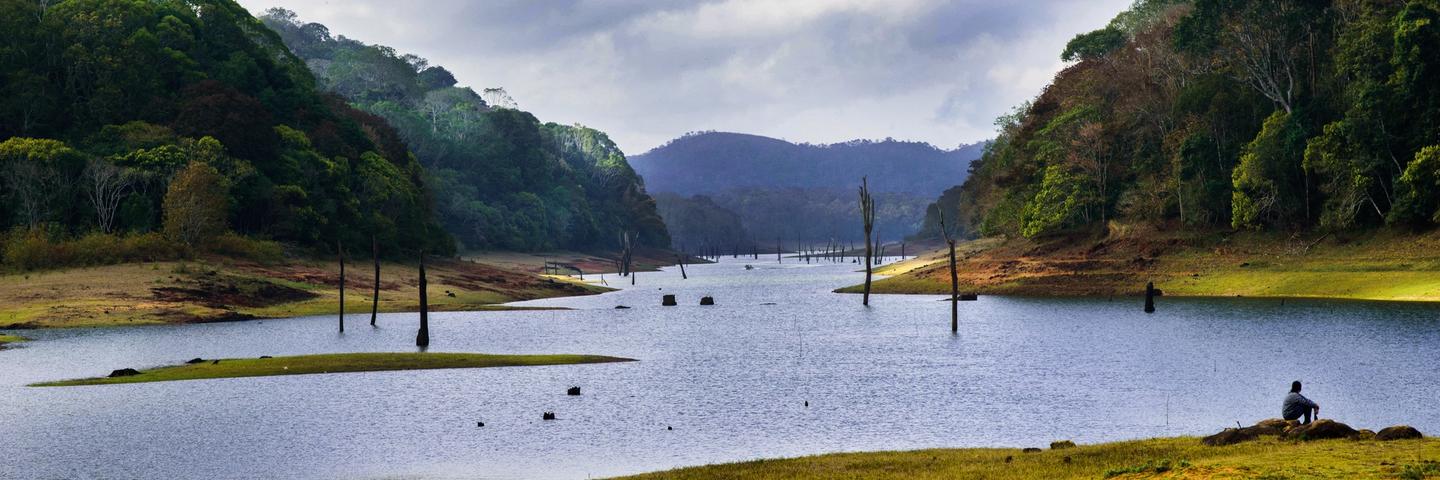 Thekkady Periyar Wildlife Stay