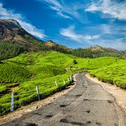 Kochi airport to Munnar, with a stop at the Cheeyappara waterfalls