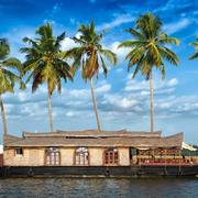 Kumarakom Bird Sanctuary, then a houseboat night at Alleppey