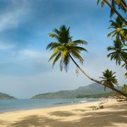 Dolphin boat, Butterfly Beach and Patnem