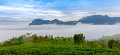Ooty Hill Station Break