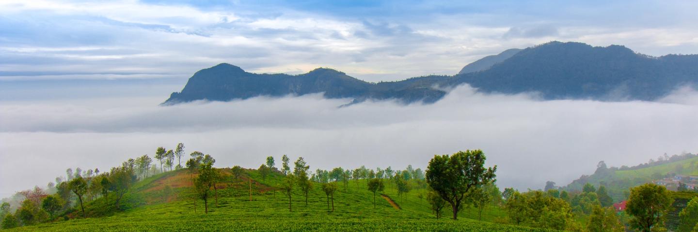 Ooty Hill Station Break