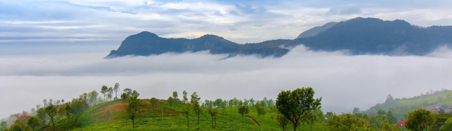 Ooty (Udhagamandalam)