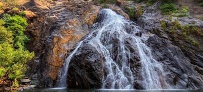 Dudhsagar Falls and Mollem Forest Stay