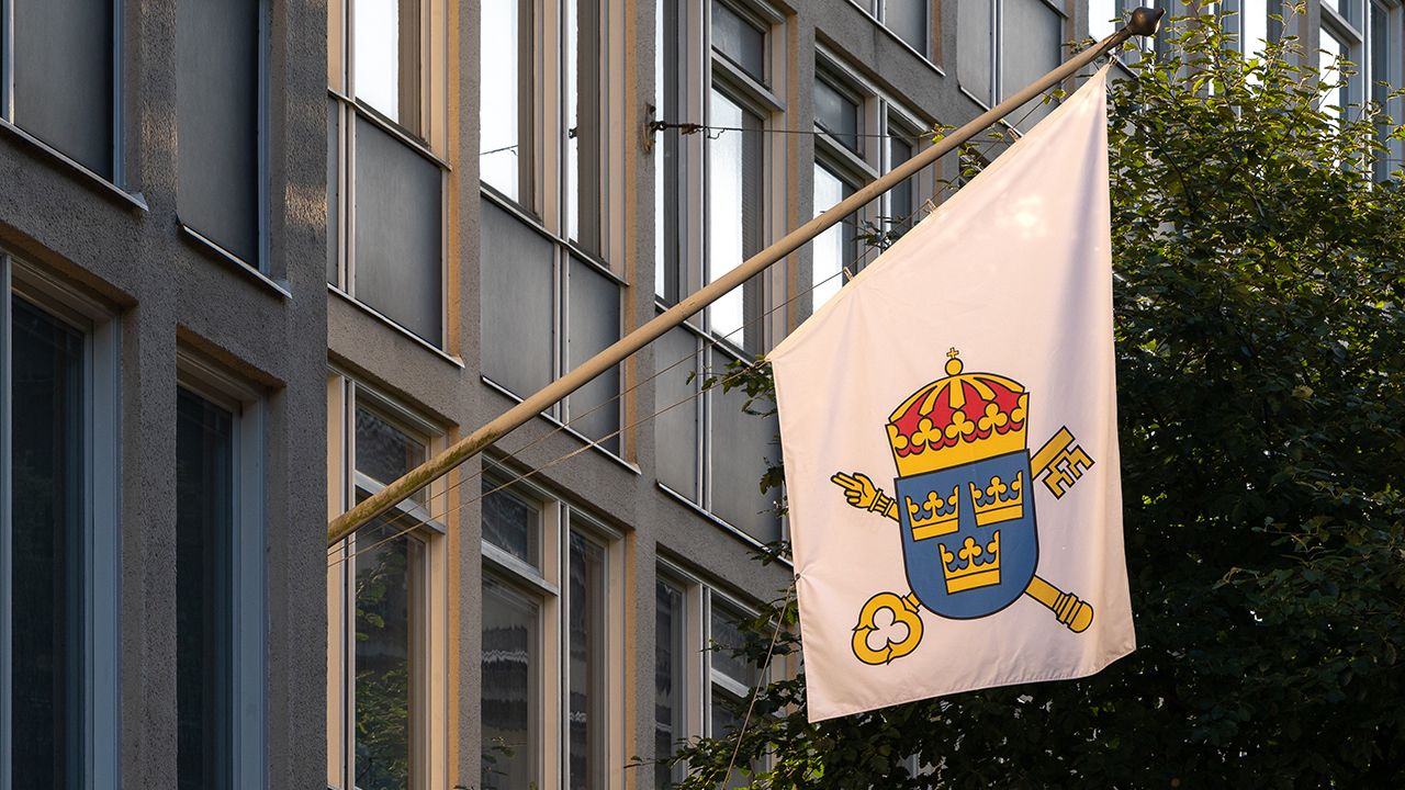 Intellegos svindlerimisstänkte vd på fri fot 