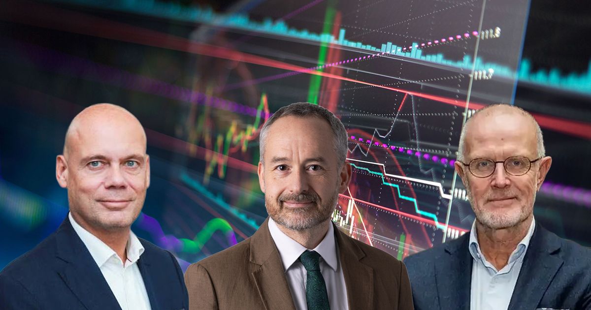 Experterna om rapportsäsongen