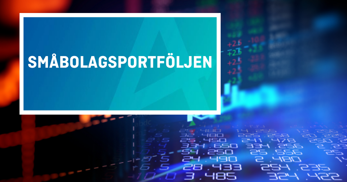 Tar hem en vinst i Småbolagsportföljen