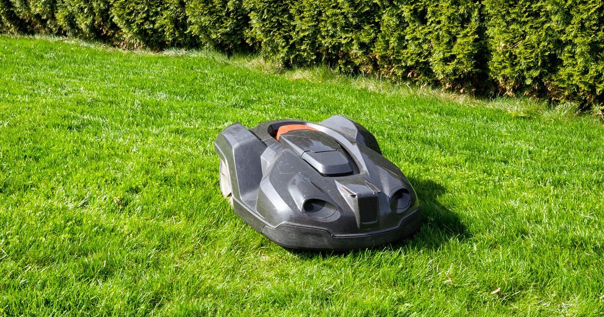 Robottiruohonleikkuri kokemuksia? Kattava arvostelu