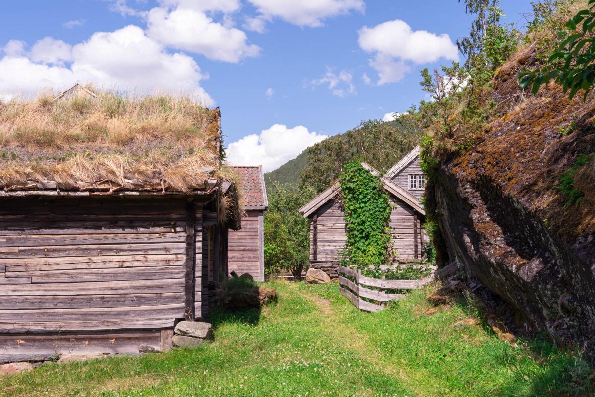 Klyngetun var vanleg før, og kanskje er det i ferd med å få ein renessanse? Foto: Øyvind Holmstad / Wikimedia Commons