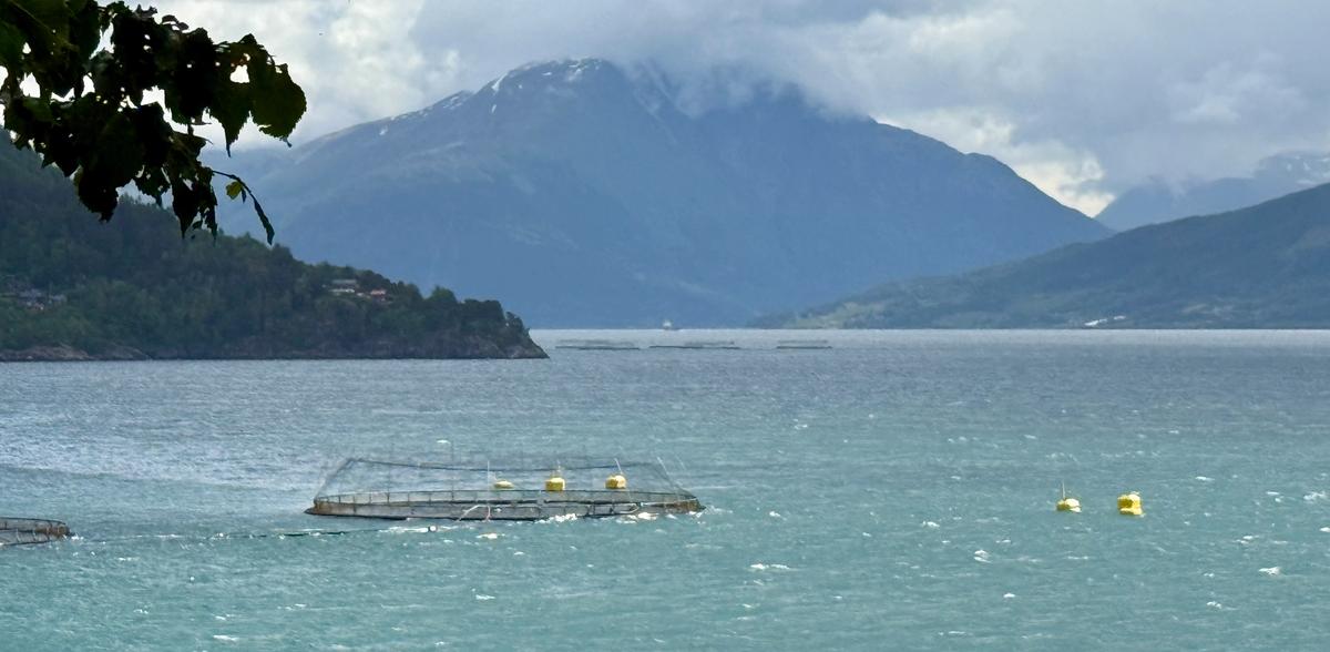 Oppdrettsanlegg Ålvik