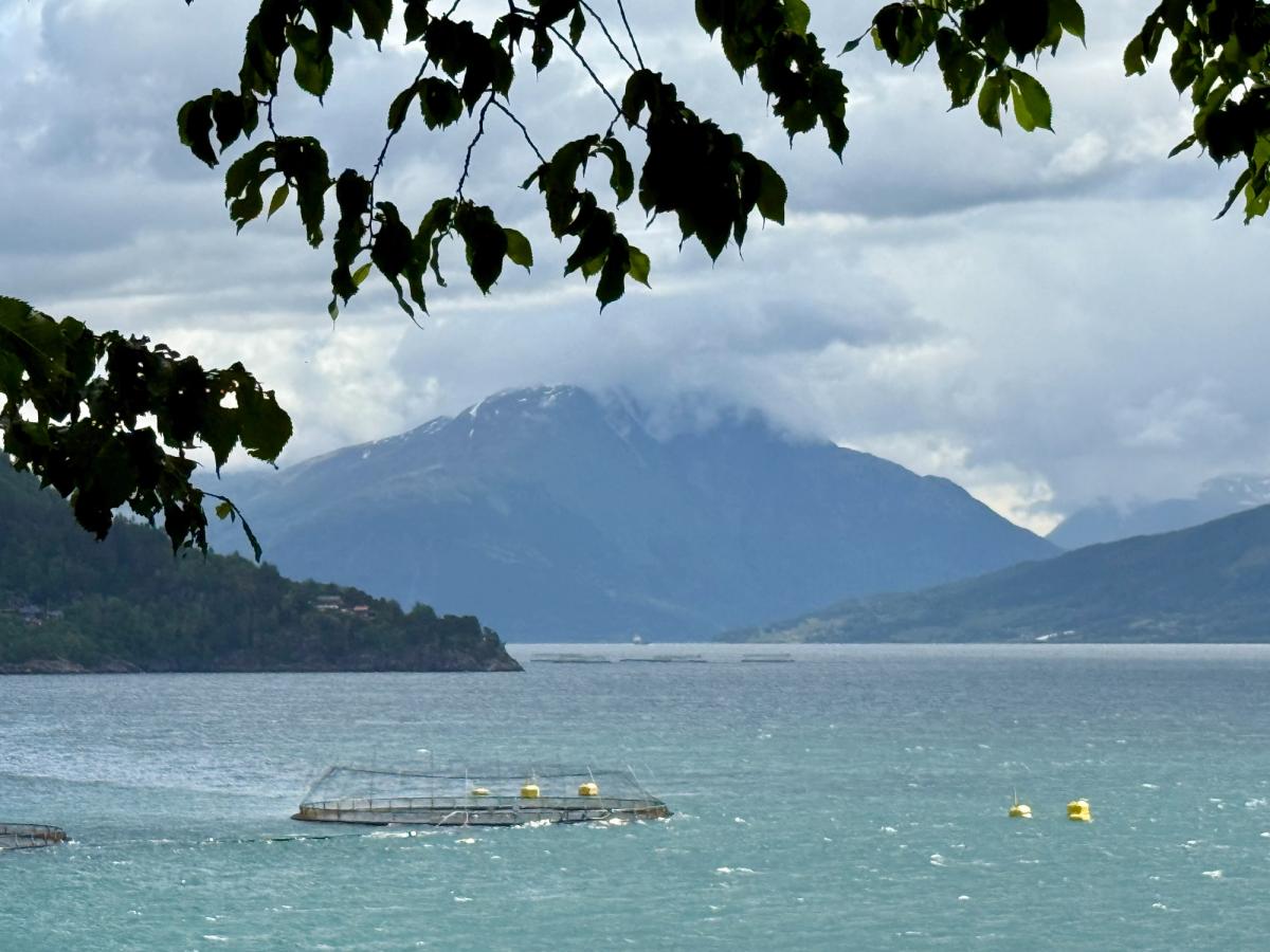Kvam herad mottok nær 23 millionar frå Havbruksfondet i fjor.
