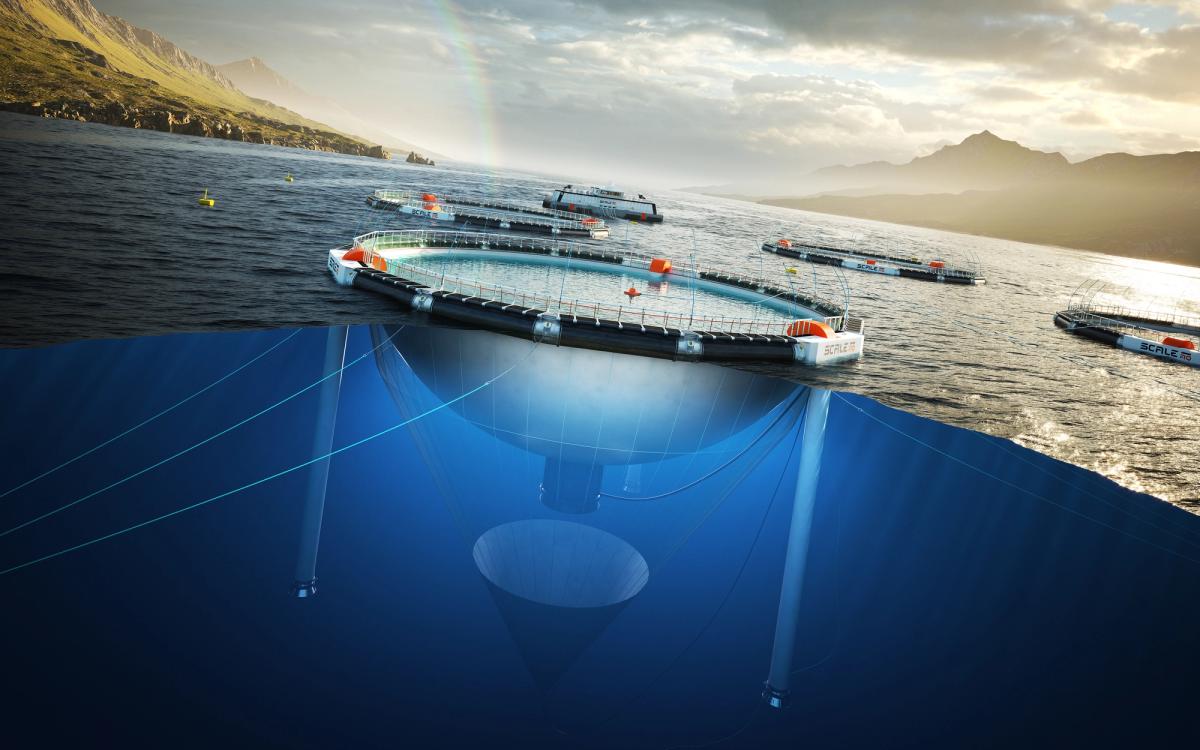 Heimdall, utvikla av ScaleAQ