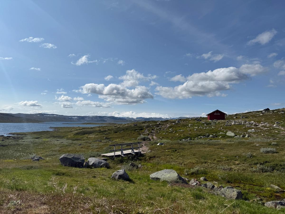 Hardangervidda