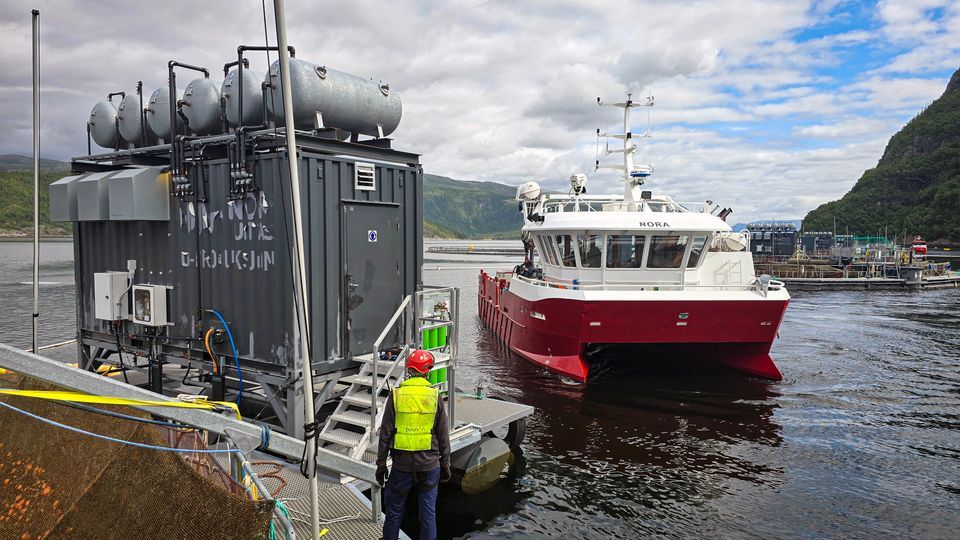 Det er slike servicebåter i havbruksnæringa myndigheitene ynskjer å elektrifisera innan 2040, men fleire åtvarar om mangel på straumnett i dei store sjømatregionane langs kysten. Foto: Tom Lysø/Sinkaberg