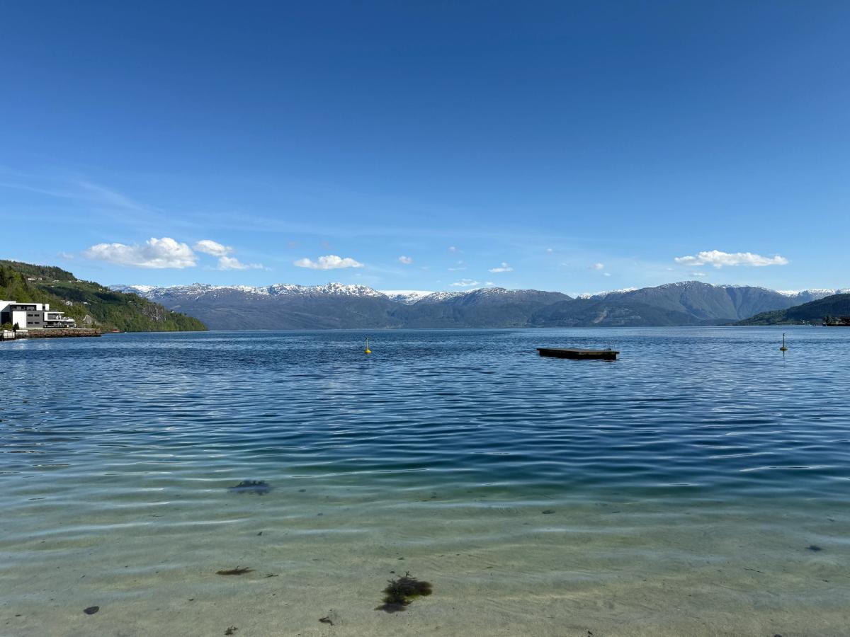 Hardangerfjorden