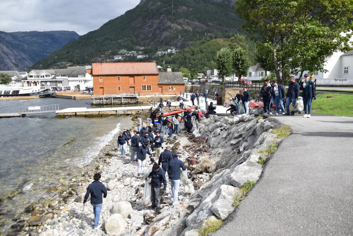 Mannskap frå MS Borealis i full sving med å plukka bos langs sjøkanten i Eidfjord.
