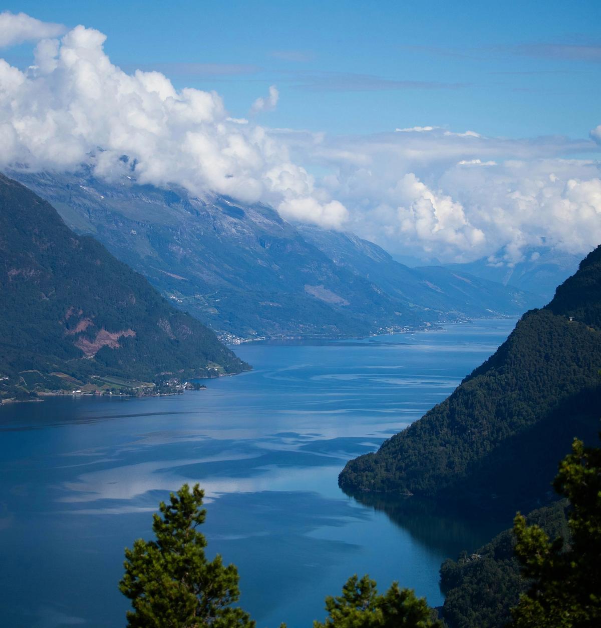 Hardangerfjorden