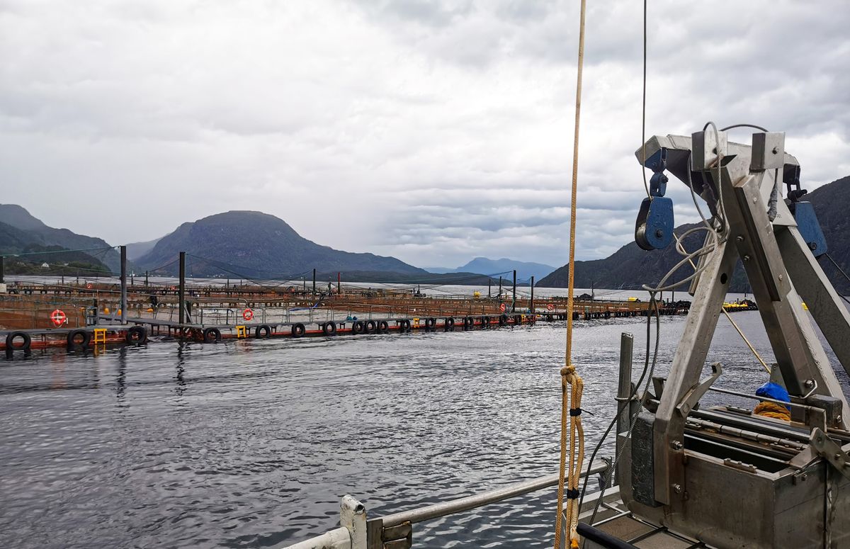 Foto: Einar Bye-Ingebrigtsen