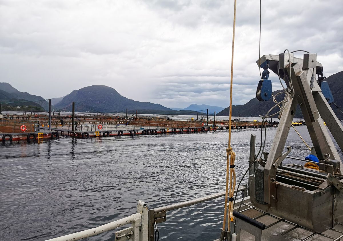 Foto: Einar Bye-Ingebrigtsen