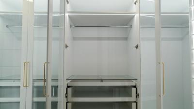 Walk-in Closet w/ Jewelry Tray