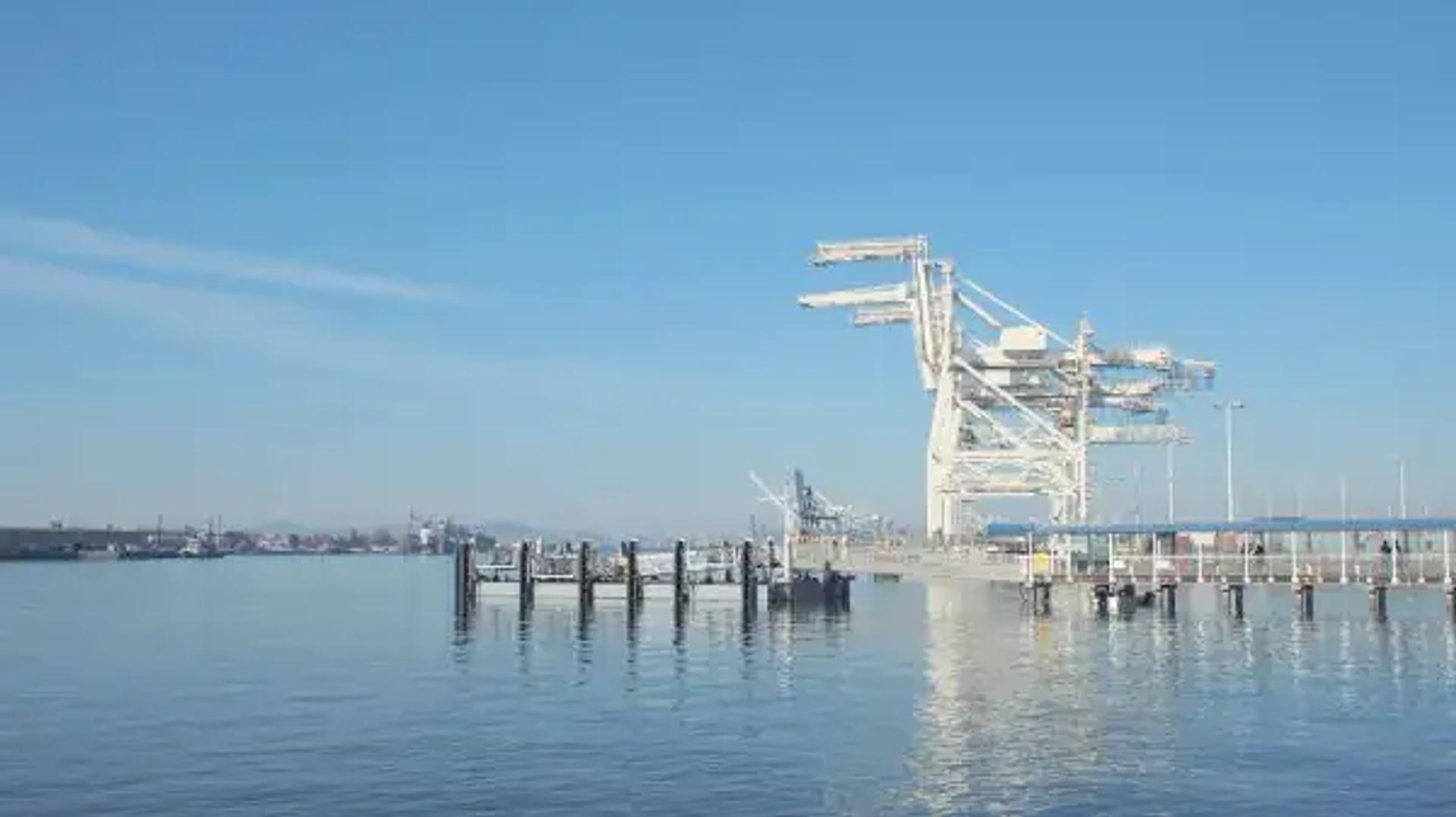 White ship-to-shore cranes at a quay under a clear sky