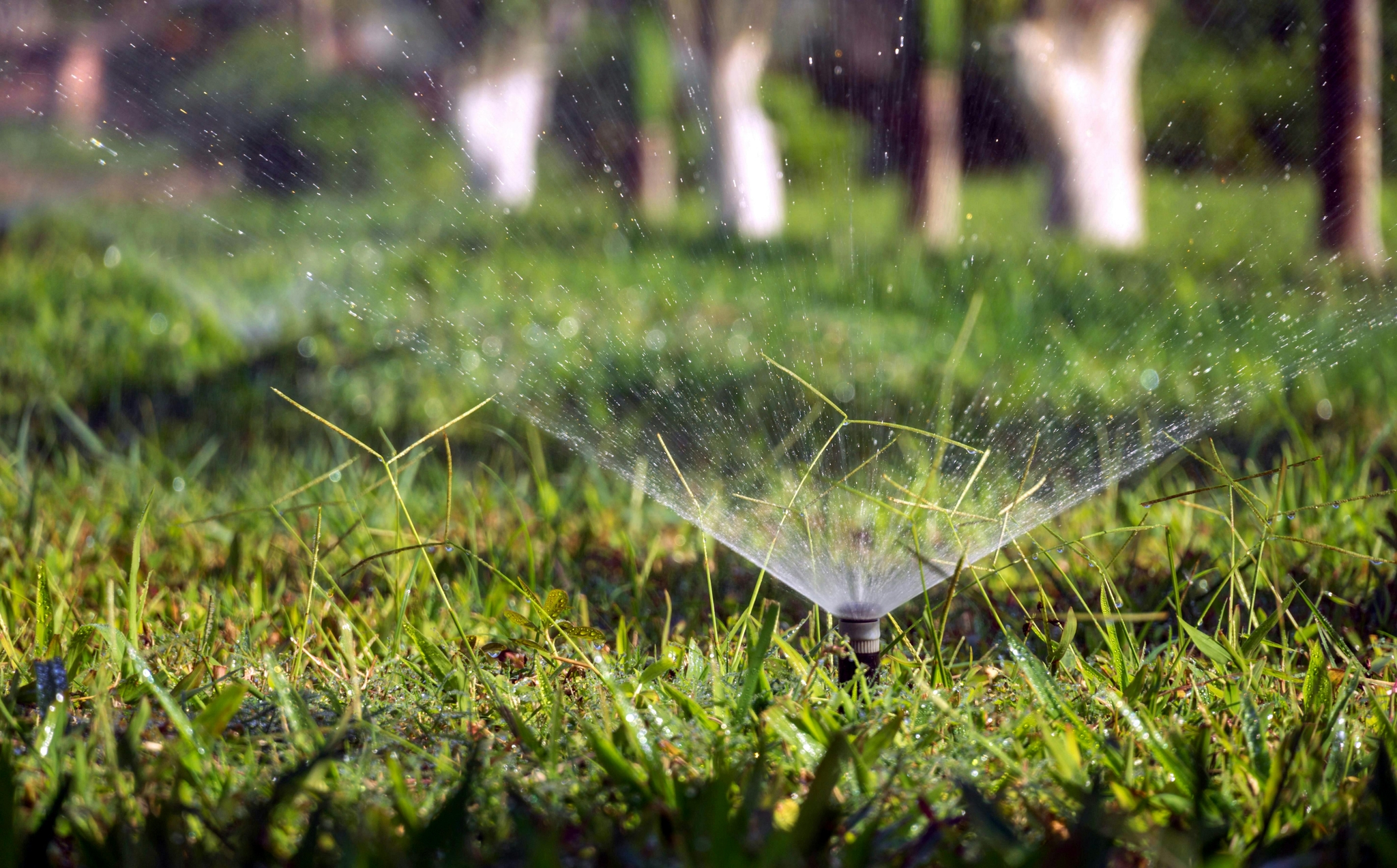 Irrigation