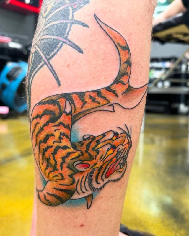 Julian portfolio work