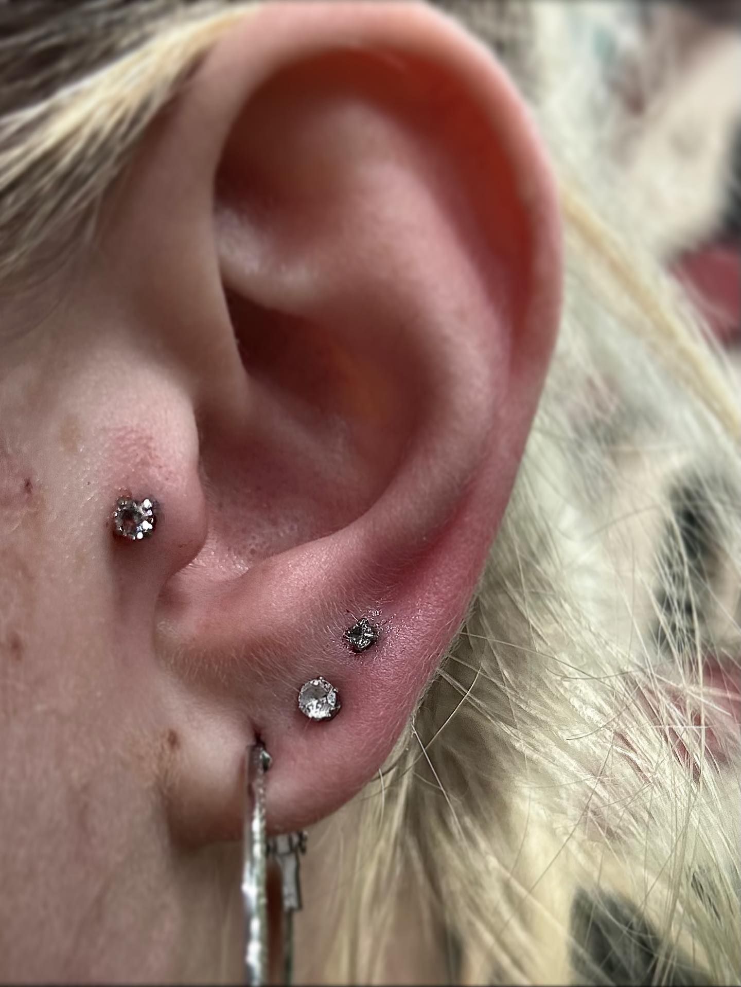 Hayley portfolio work