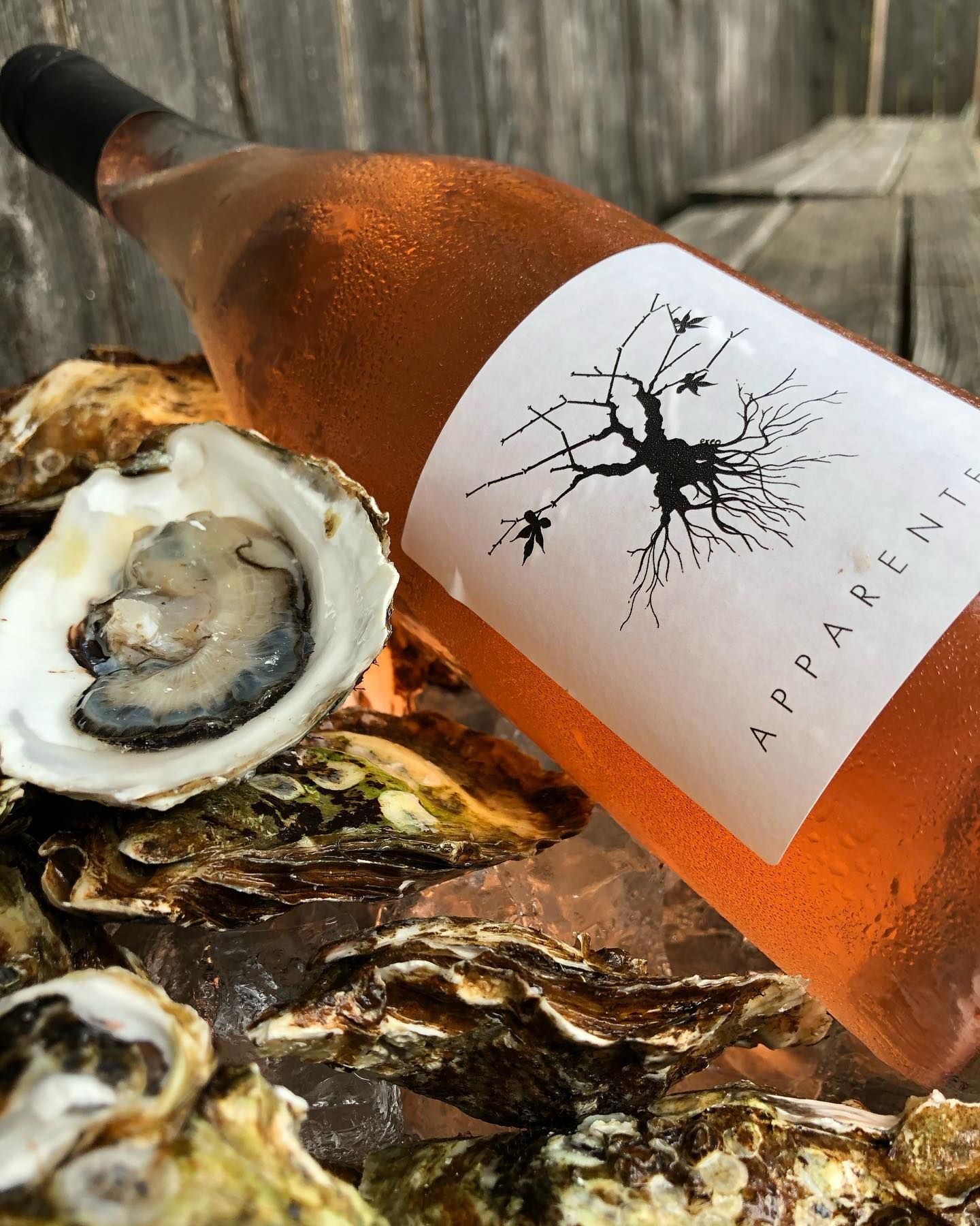 Photo of Foreign & Domestic