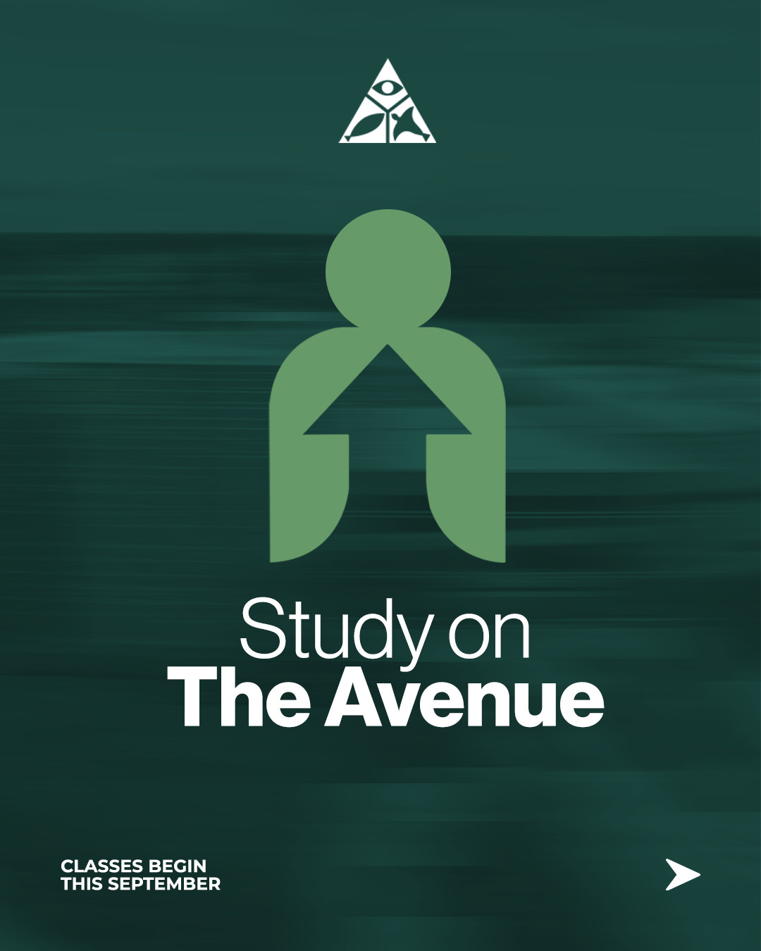 Study on The Avenue