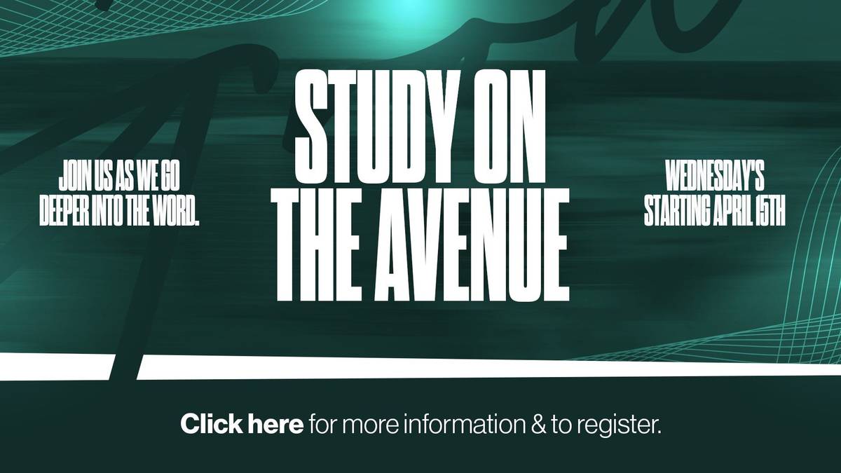 Study on The Avenue banner