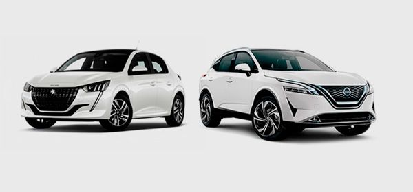 Vinterkampagne A og DAP