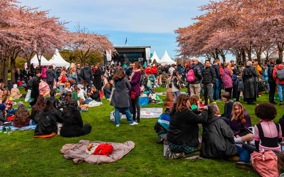 Sakura Festival forår
