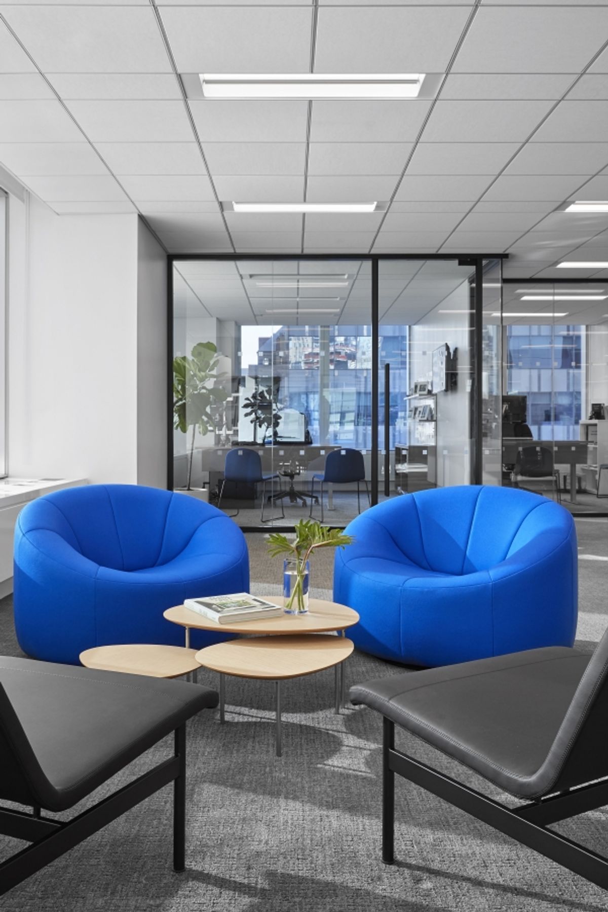 Detail of glass-walled closed offices with blue Poulin lounge seating