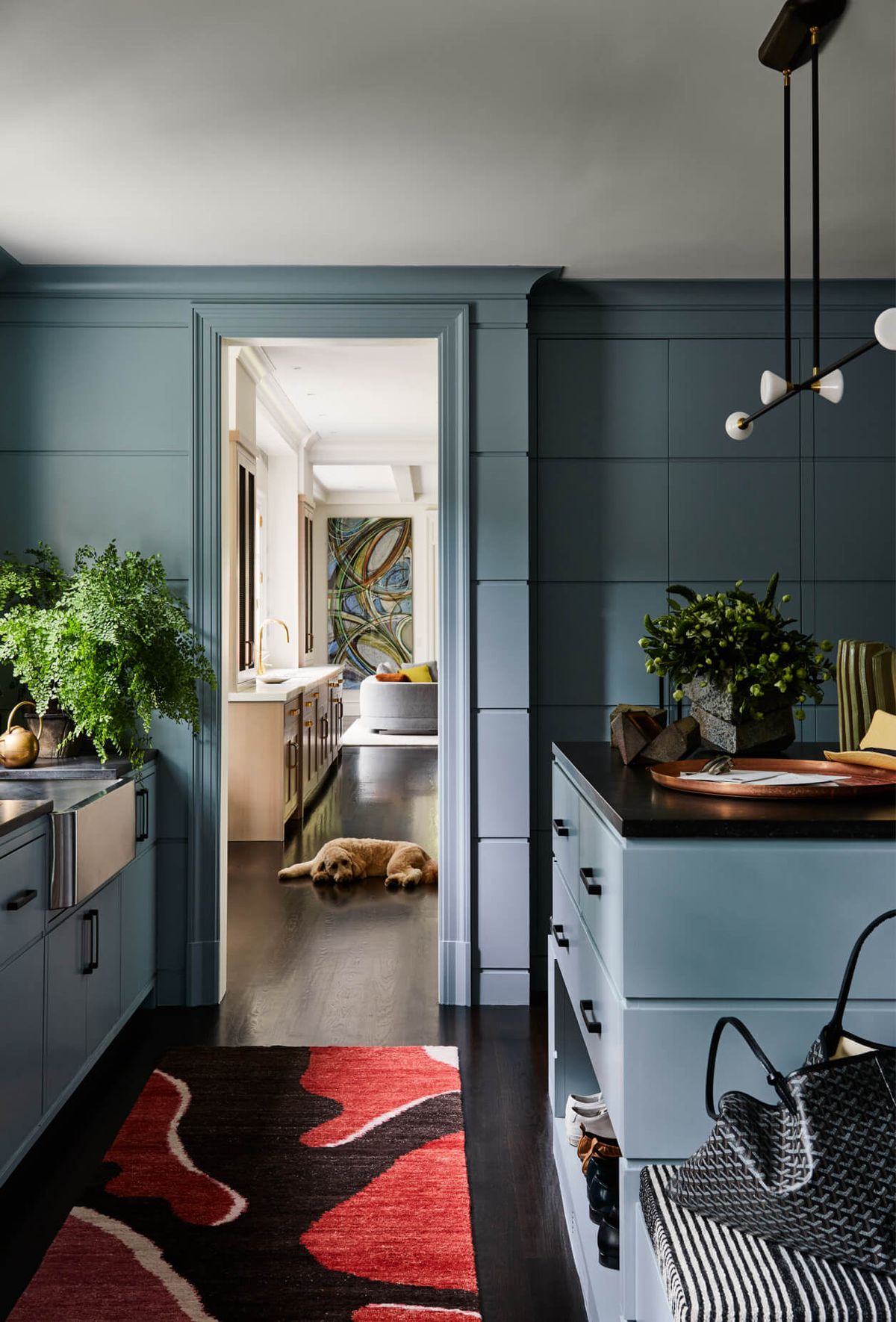 Mudroom with kitchen in background with dog resting on the floor