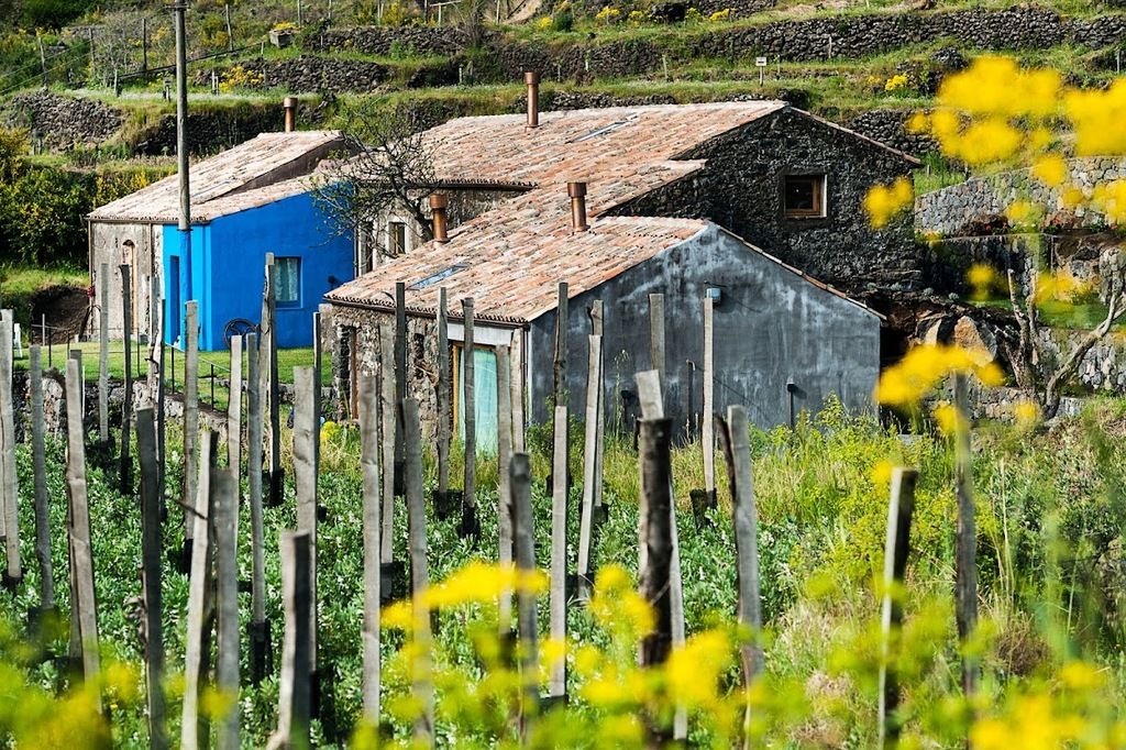 Monaci delle Terre Nere – Photo 6