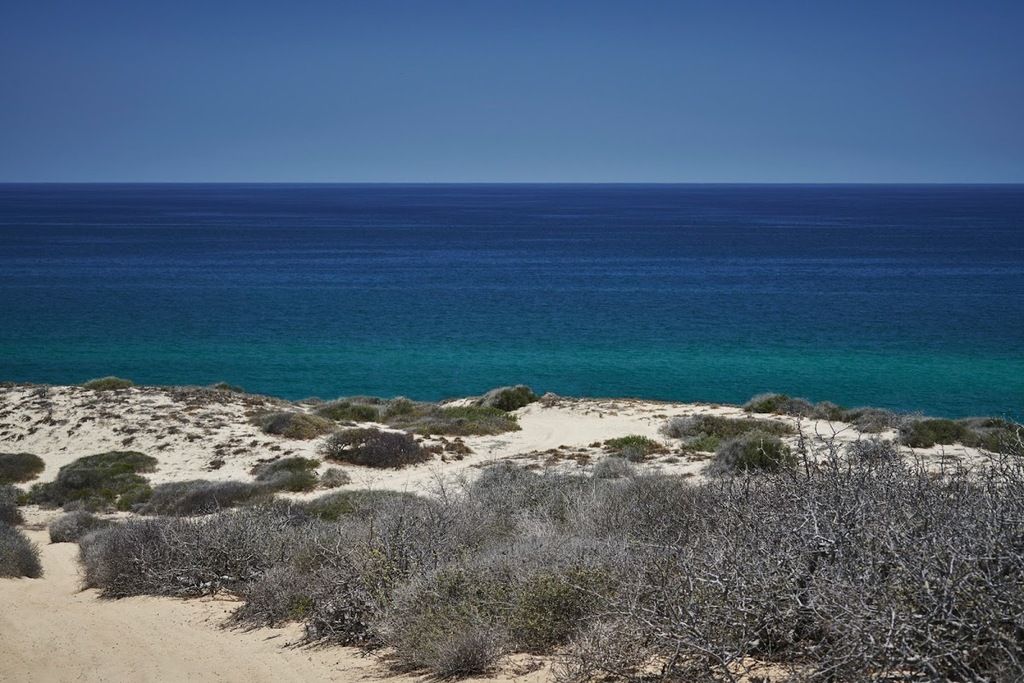 Four Seasons Resort Los Cabos at Costa Palmas – Photo 5