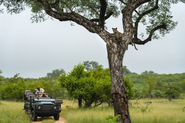 Singita Ebony – Photo 4