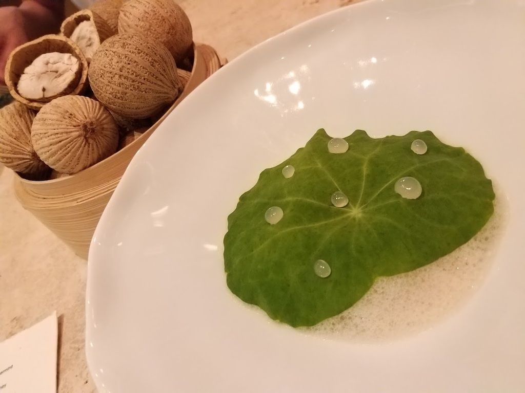 Gēn 根 – Photo 3