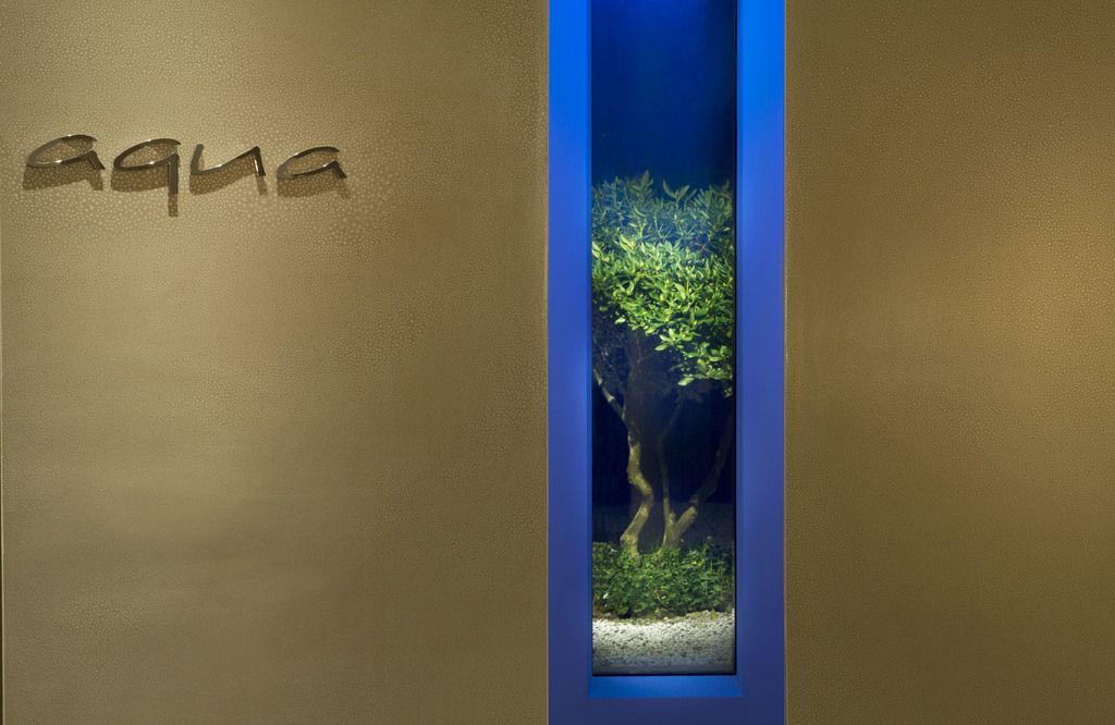 Aqua – Photo 5