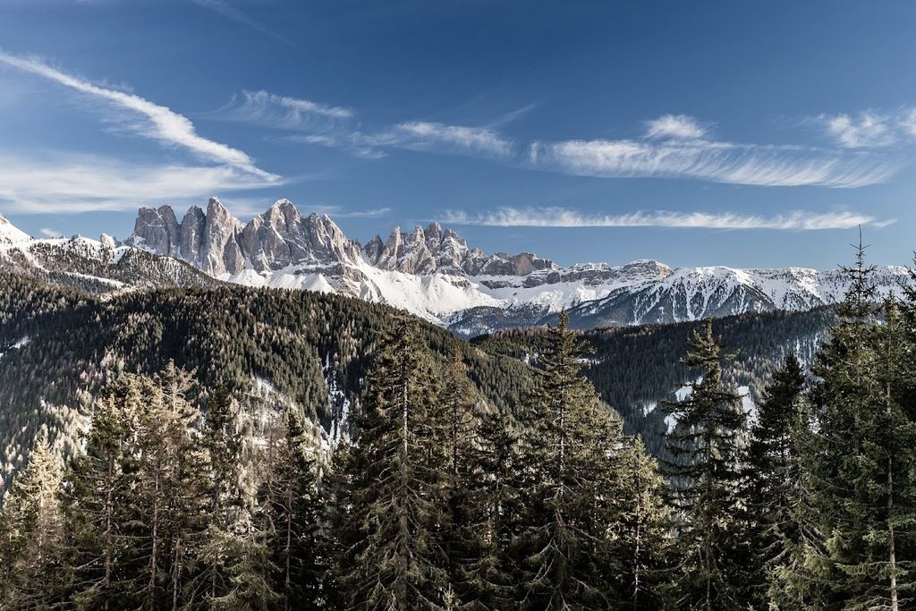 Forestis Dolomites – Photo 4