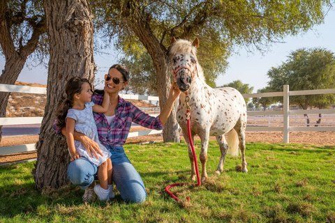 The Ritz-Carlton Ras Al Khaimah, Al Wadi Desert – Photo 5
