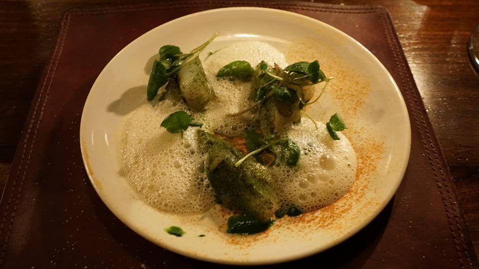 Dill – Photo 4