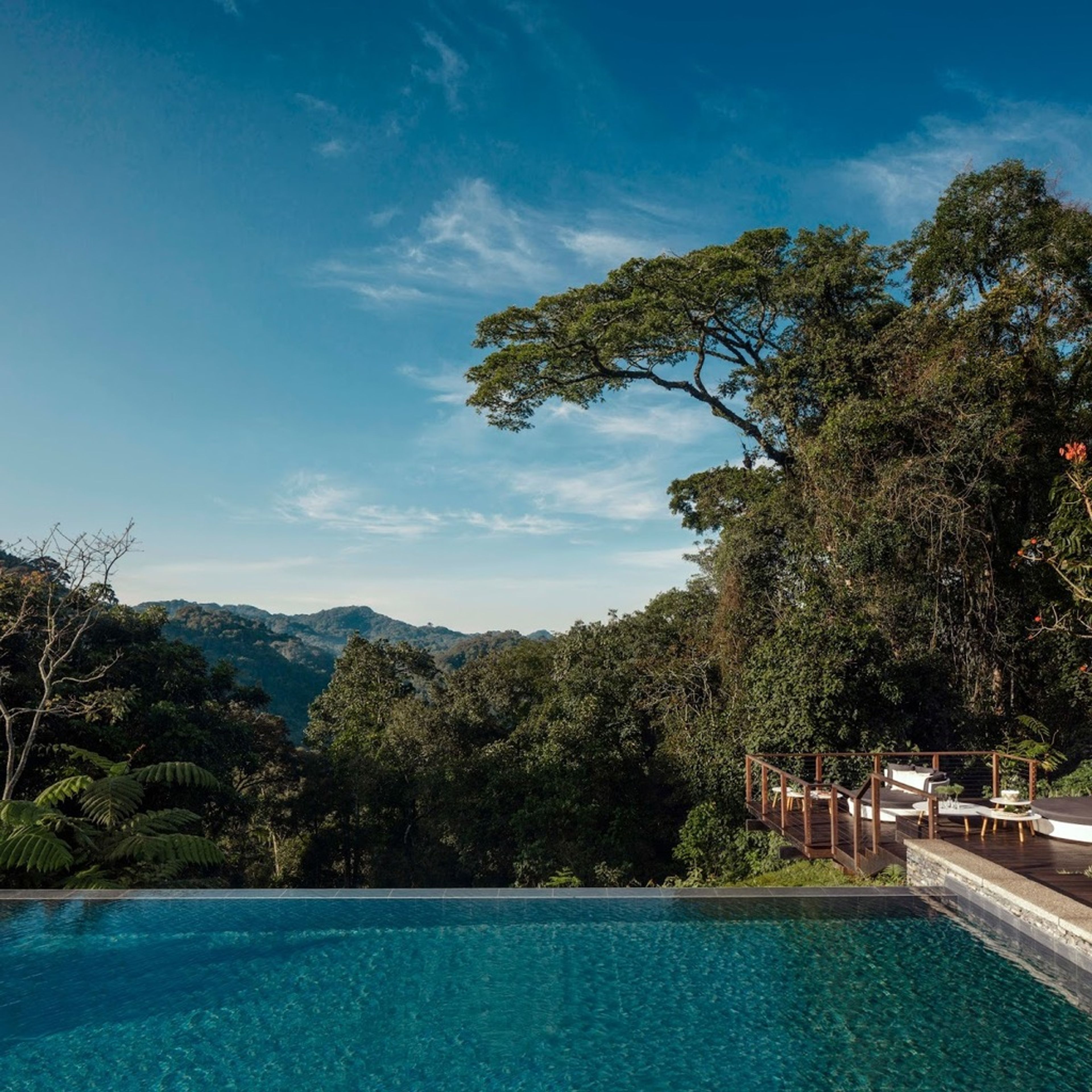 One&Only Nyungwe House – Photo 3