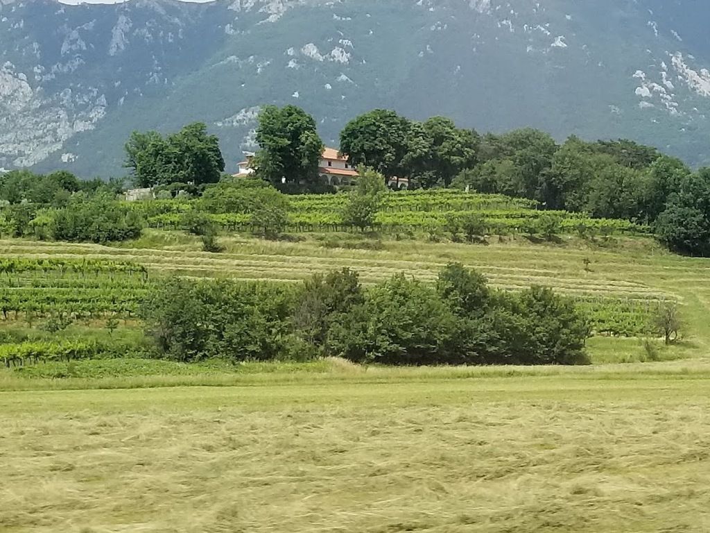Gostilna pri Lojzetu - Dvorec Zemono – Photo 5