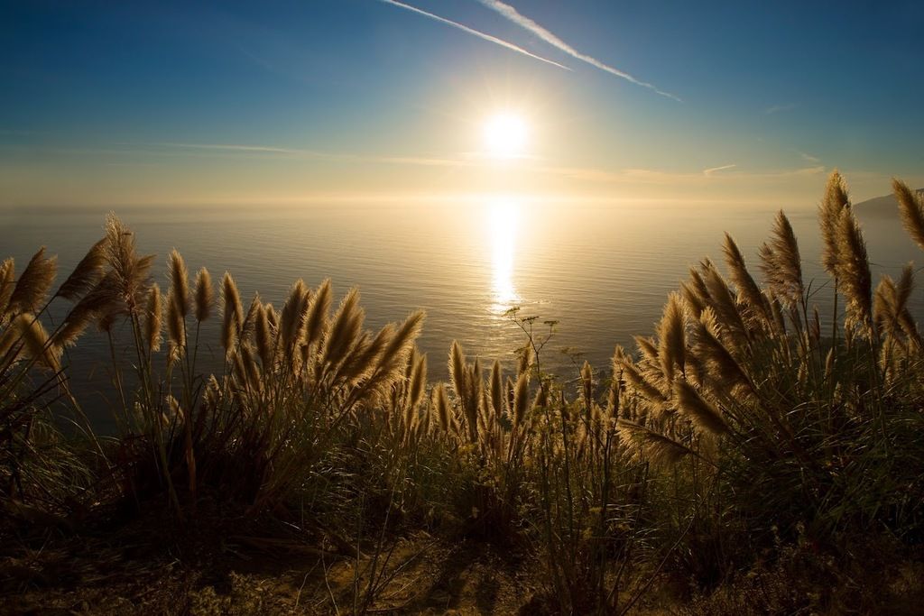 Alila Ventana Big Sur – Photo 5